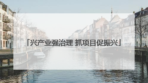兴产业强治理 抓项目促振兴
