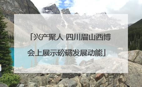 兴产聚人 四川眉山西博会上展示磅礴发展动能