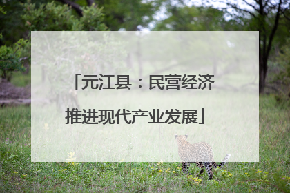 元江县：民营经济推进现代产业发展