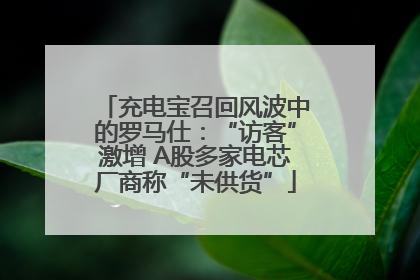 充电宝召回风波中的罗马仕：“访客”激增 A股多家电芯厂商称“未供货”