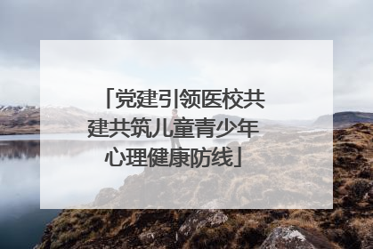 党建引领医校共建共筑儿童青少年心理健康防线