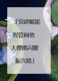 党建赋能智管网格 大樱桃闪耀振兴路