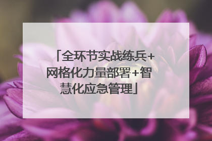 全环节实战练兵+网格化力量部署+智慧化应急管理