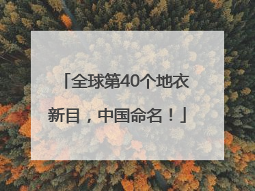 全球第40个地衣新目，中国命名！