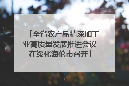 全省农产品精深加工业高质量发展推进会议在绥化海伦市召开