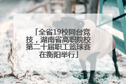 全省19校同台竞技，湖南省高职院校第二十届职工篮球赛在衡阳举行