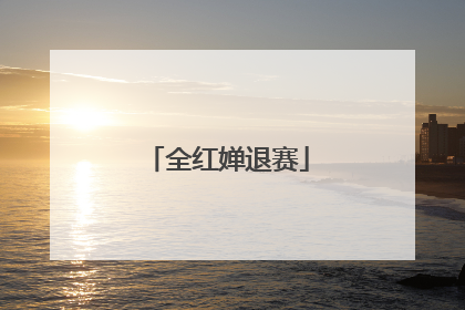 全红婵退赛