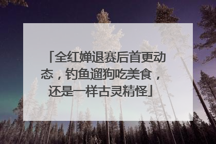 全红婵退赛后首更动态，钓鱼遛狗吃美食，还是一样古灵精怪