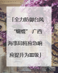 全力防御台风“蝴蝶” 广西海事局将应急响应提升为Ⅲ级