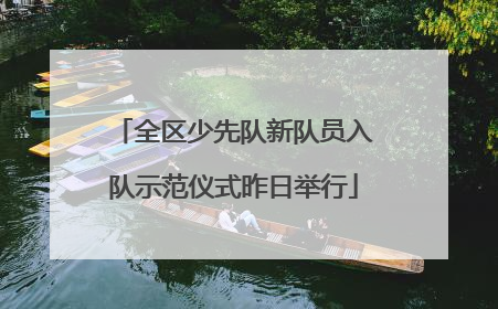 全区少先队新队员入队示范仪式昨日举行