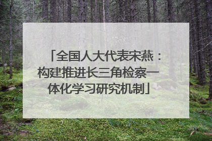 全国人大代表宋燕：构建推进长三角检察一体化学习研究机制