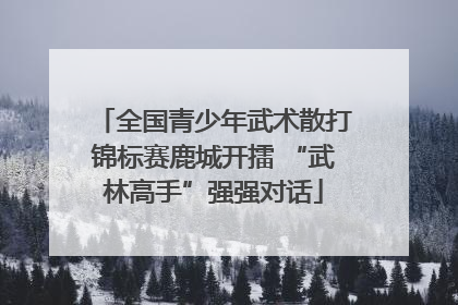 全国青少年武术散打锦标赛鹿城开擂 “武林高手”强强对话