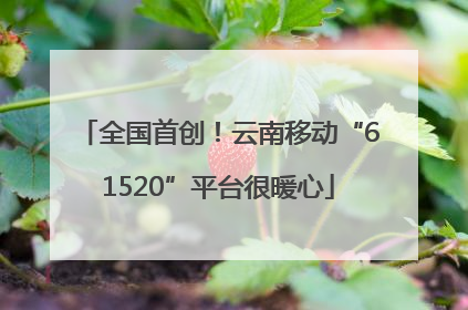 全国首创！云南移动“61520”平台很暖心