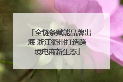 全链条赋能品牌出海 浙江衢州打造跨境电商新生态
