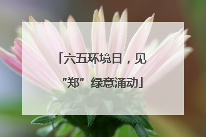 六五环境日，见“郑”绿意涌动