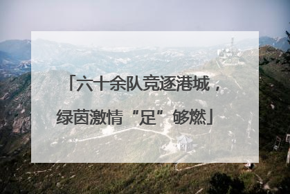 六十余队竞逐港城，绿茵激情“足”够燃