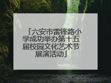 六安市雷锋路小学成功举办第十五届校园文化艺术节展演活动