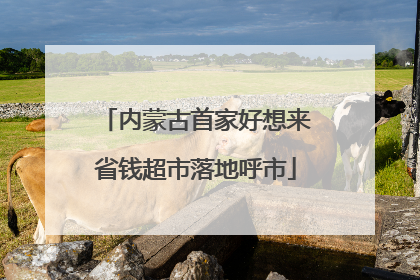 内蒙古首家好想来省钱超市落地呼市