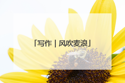 写作｜风吹麦浪