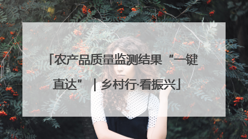 农产品质量监测结果“一键直达”｜乡村行·看振兴