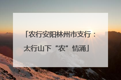 农行安阳林州市支行：太行山下“农”情涌