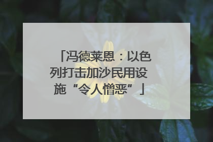冯德莱恩：以色列打击加沙民用设施“令人憎恶”