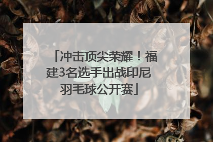 冲击顶尖荣耀！福建3名选手出战印尼羽毛球公开赛