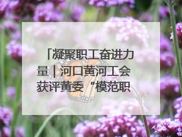 凝聚职工奋进力量｜河口黄河工会获评黄委“模范职工之家”侧记