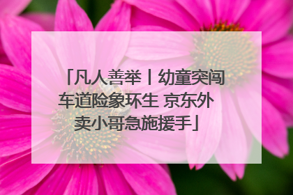 凡人善举丨幼童突闯车道险象环生 京东外卖小哥急施援手