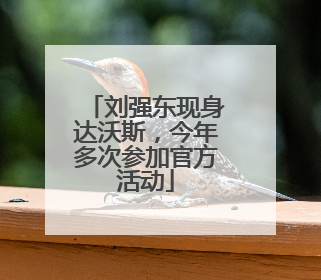 刘强东现身达沃斯，今年多次参加官方活动