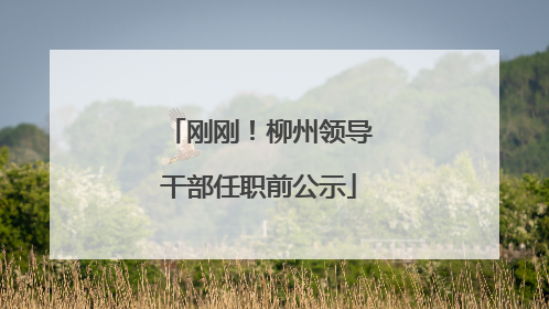 刚刚！柳州领导干部任职前公示