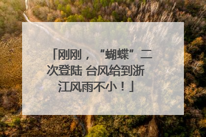 刚刚，“蝴蝶”二次登陆 台风给到浙江风雨不小！