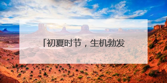 初夏时节，生机勃发，幼儿园里活动多！