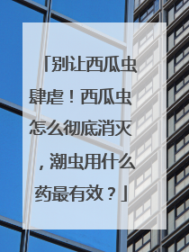 别让西瓜虫肆虐！西瓜虫怎么彻底消灭，潮虫用什么药最有效？