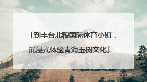到丰台北粮国际体育小镇，沉浸式体验青海玉树文化