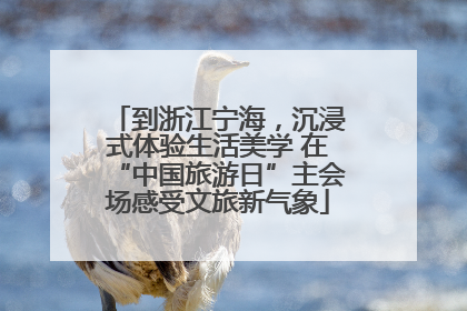 到浙江宁海，沉浸式体验生活美学 在“中国旅游日”主会场感受文旅新气象