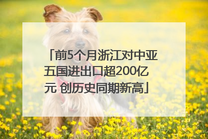 前5个月浙江对中亚五国进出口超200亿元 创历史同期新高
