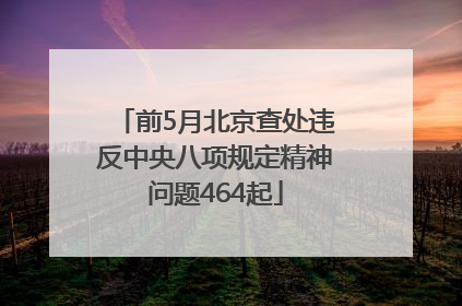 前5月北京查处违反中央八项规定精神问题464起