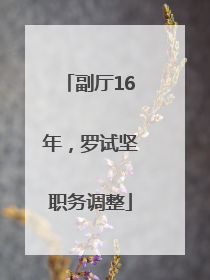 副厅16年，罗试坚职务调整