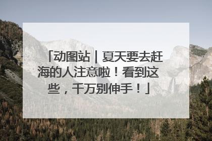动图站｜夏天要去赶海的人注意啦！看到这些，千万别伸手！