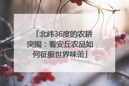 北纬36度的农耕突围：看安丘农品如何征服世界味蕾