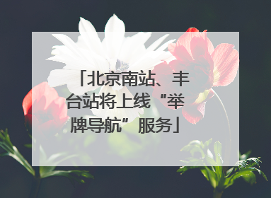 北京南站、丰台站将上线“举牌导航”服务
