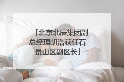 北京北辰集团副总经理胡浩获任石景山区副区长