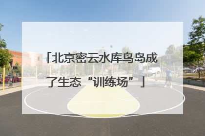 北京密云水库鸟岛成了生态“训练场”