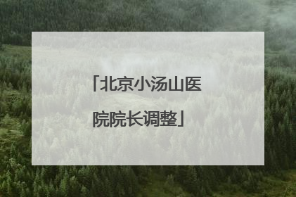 北京小汤山医院院长调整