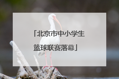 北京市中小学生篮球联赛落幕