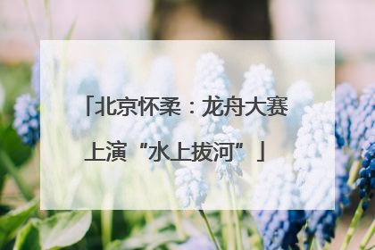 北京怀柔：龙舟大赛上演“水上拔河”