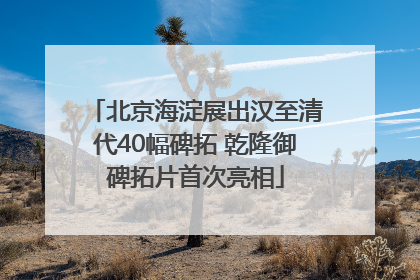 北京海淀展出汉至清代40幅碑拓 乾隆御碑拓片首次亮相
