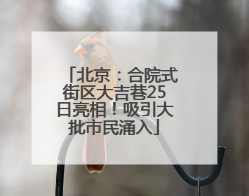北京：合院式街区大吉巷25日亮相！吸引大批市民涌入