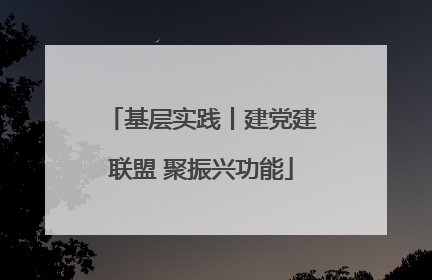 基层实践丨建党建联盟 聚振兴功能